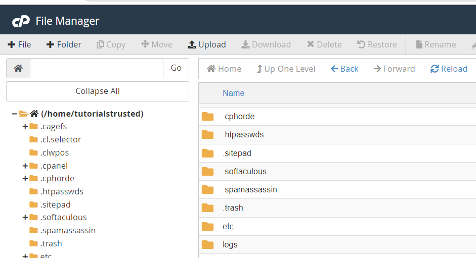 Set Up: cPanel File Manager: Uploading Files ..?
