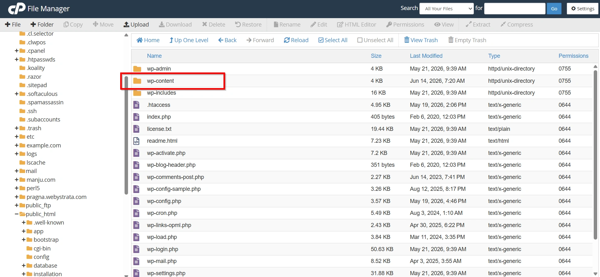discover-the-steps-to-use-wordpress-do_shortcode